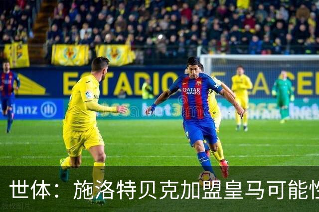 世体：施洛特贝克加盟皇马可能性变大 穆帅欣赏且仅需约5到6千万